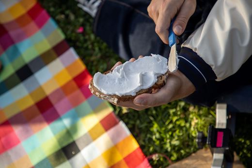 Vegan alternative to cream cheese