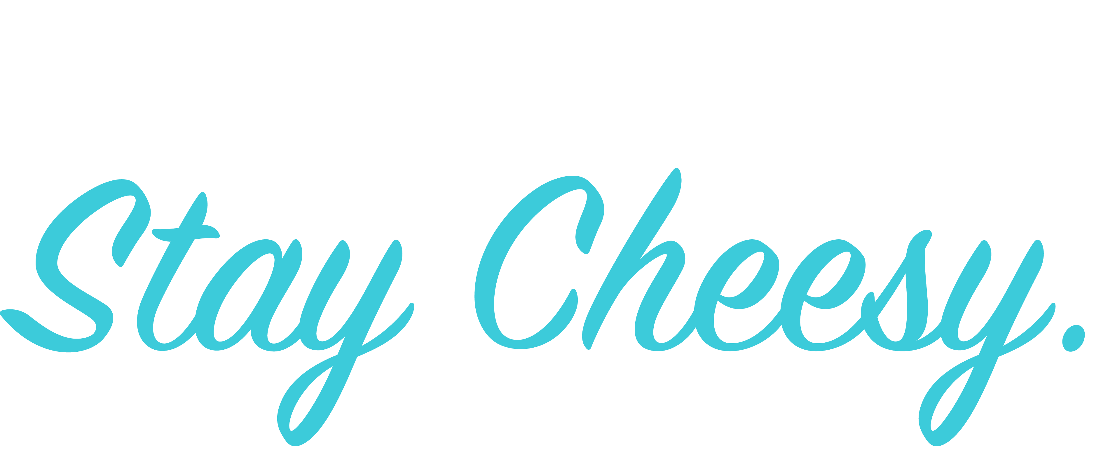 Violife Cheddarton - stay cheesy