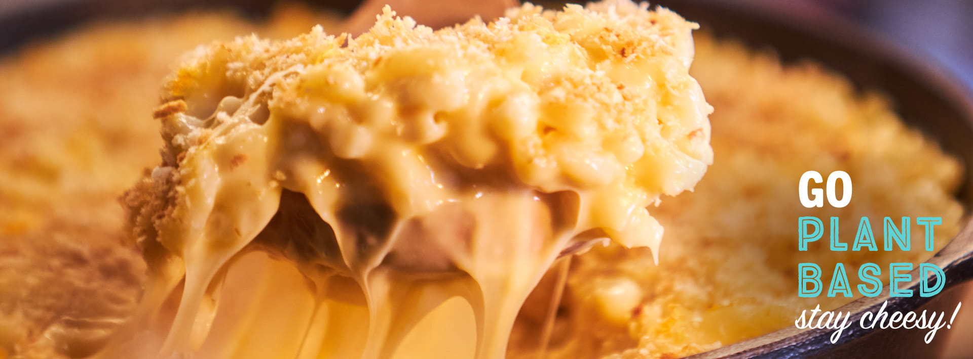 Violife plant based - stay cheesy